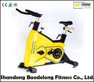Professional Commercial Exercise Fitness Bike Spinning Bike Fb-5817